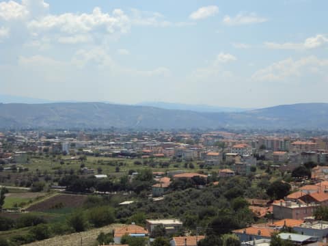 Bergama - Dikili 2011 görseli