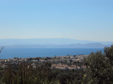 Bergama - Dikili 2011 görseli