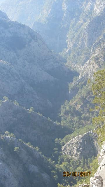 Dereçetı görseli