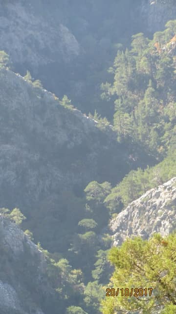 Dereçetı görseli