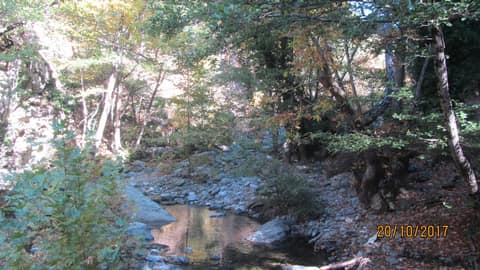 Dereçetı görseli