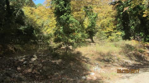 Dereçetı görseli