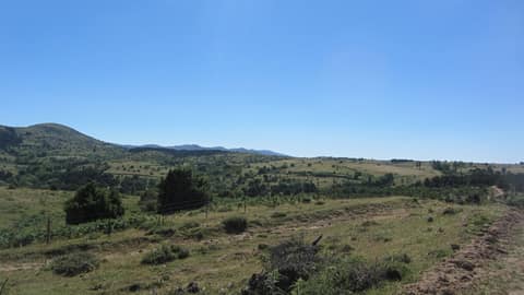 Kozak yaylası görseli