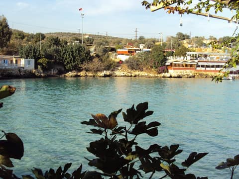Mersin görseli