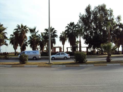 Mersin görseli