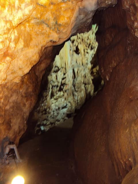 Mersin görseli
