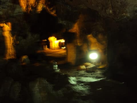 Mersin görseli