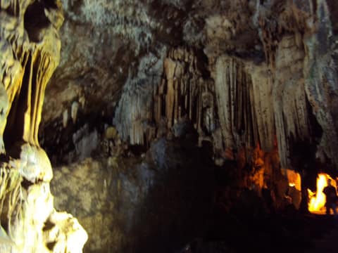 Mersin görseli