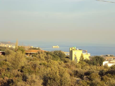 Mersin görseli