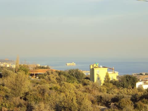 Mersin görseli