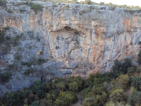 Mersin görseli