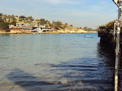 Mersin görseli