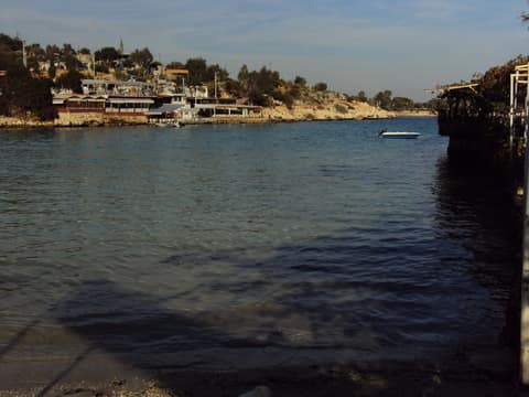Mersin görseli
