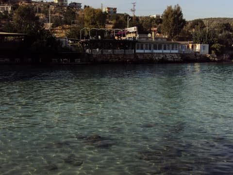 Mersin görseli