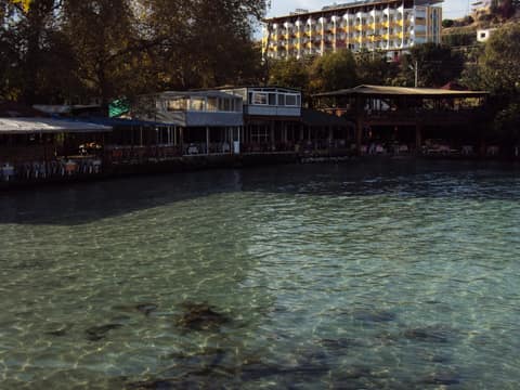 Mersin görseli