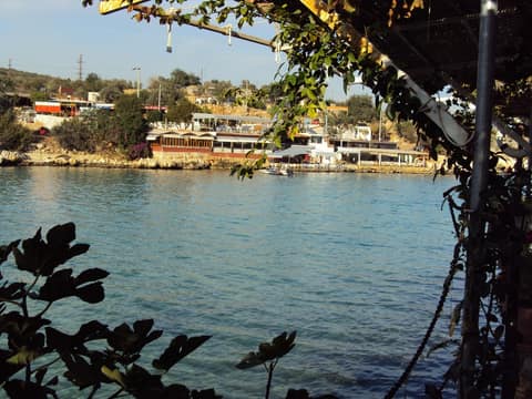 Mersin görseli