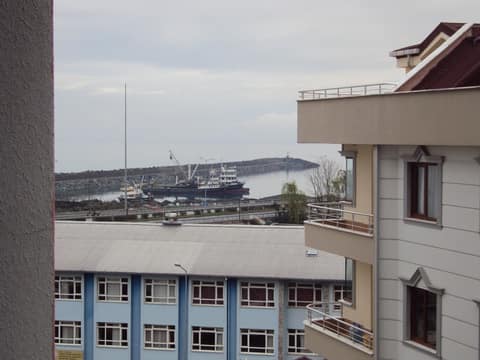 Rize görseli