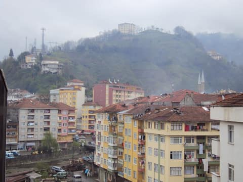 Rize görseli