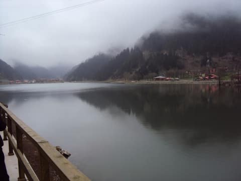 Rize görseli