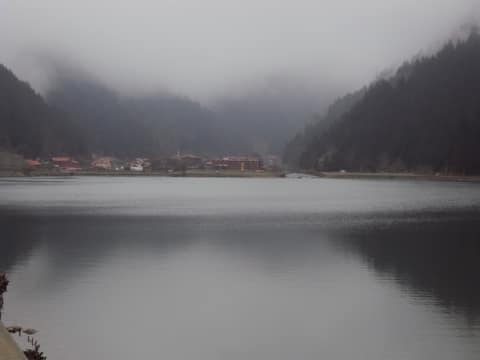 Rize görseli