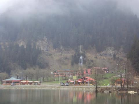 Rize görseli