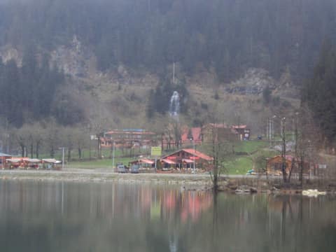 Rize görseli