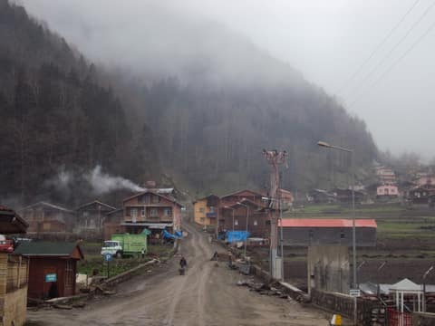 Rize görseli