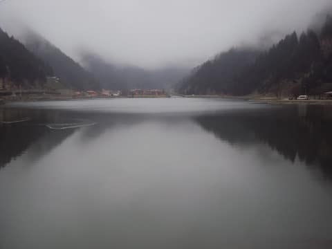 Rize görseli