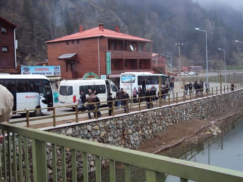 Rize görseli