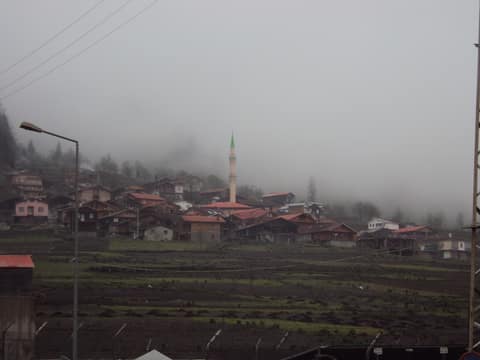Rize görseli