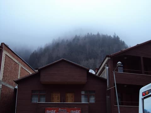 Rize görseli