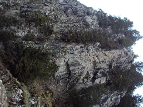 Rize görseli