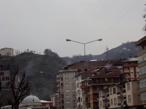 Rize görseli