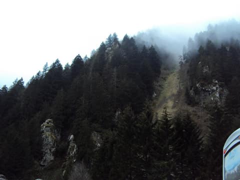 Rize görseli