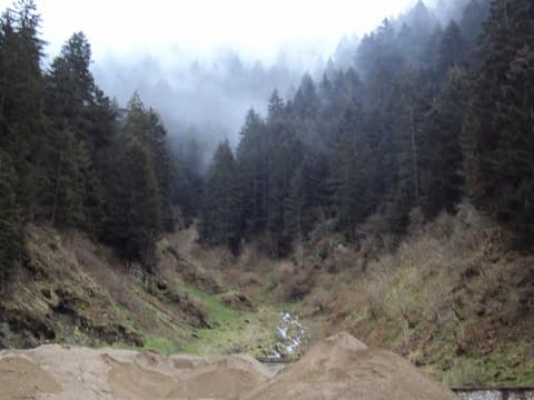 Rize görseli
