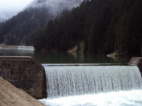 Rize görseli