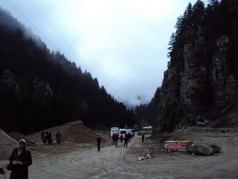 Rize görseli