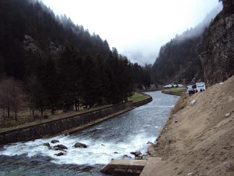 Rize görseli