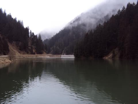 Rize görseli