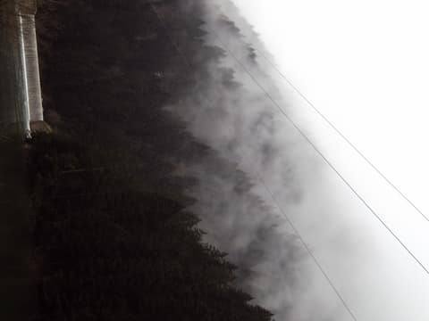 Rize görseli