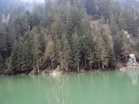 Rize görseli
