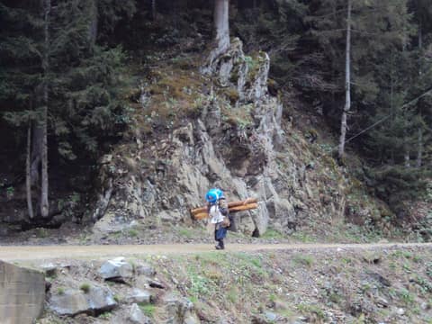 Rize görseli