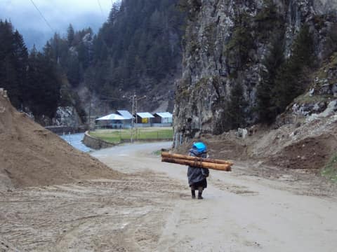Rize görseli