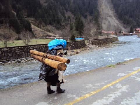 Rize görseli