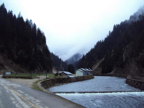 Rize görseli