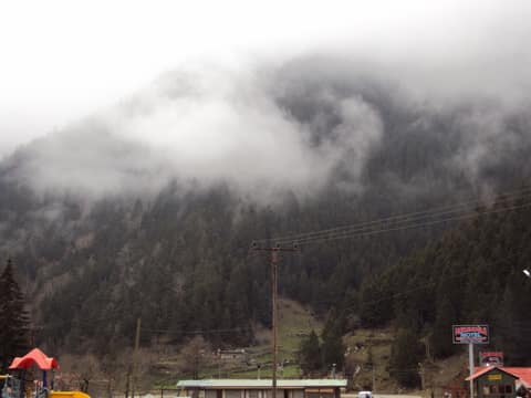 Rize görseli
