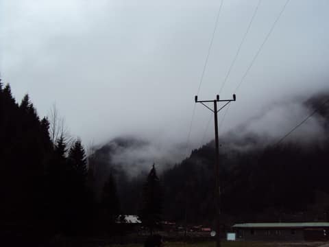 Rize görseli