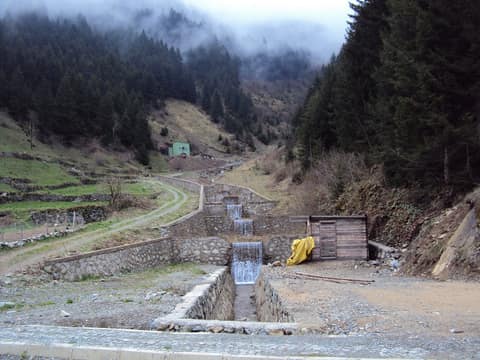 Rize görseli