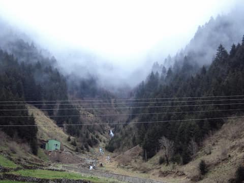 Rize görseli