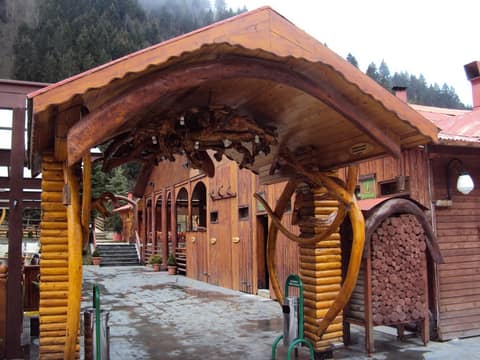 Rize görseli